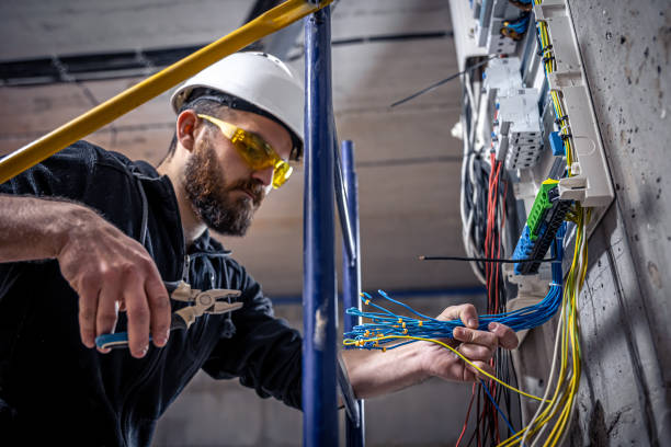 Best Local Electrician Companies  in Palm Valley, TX